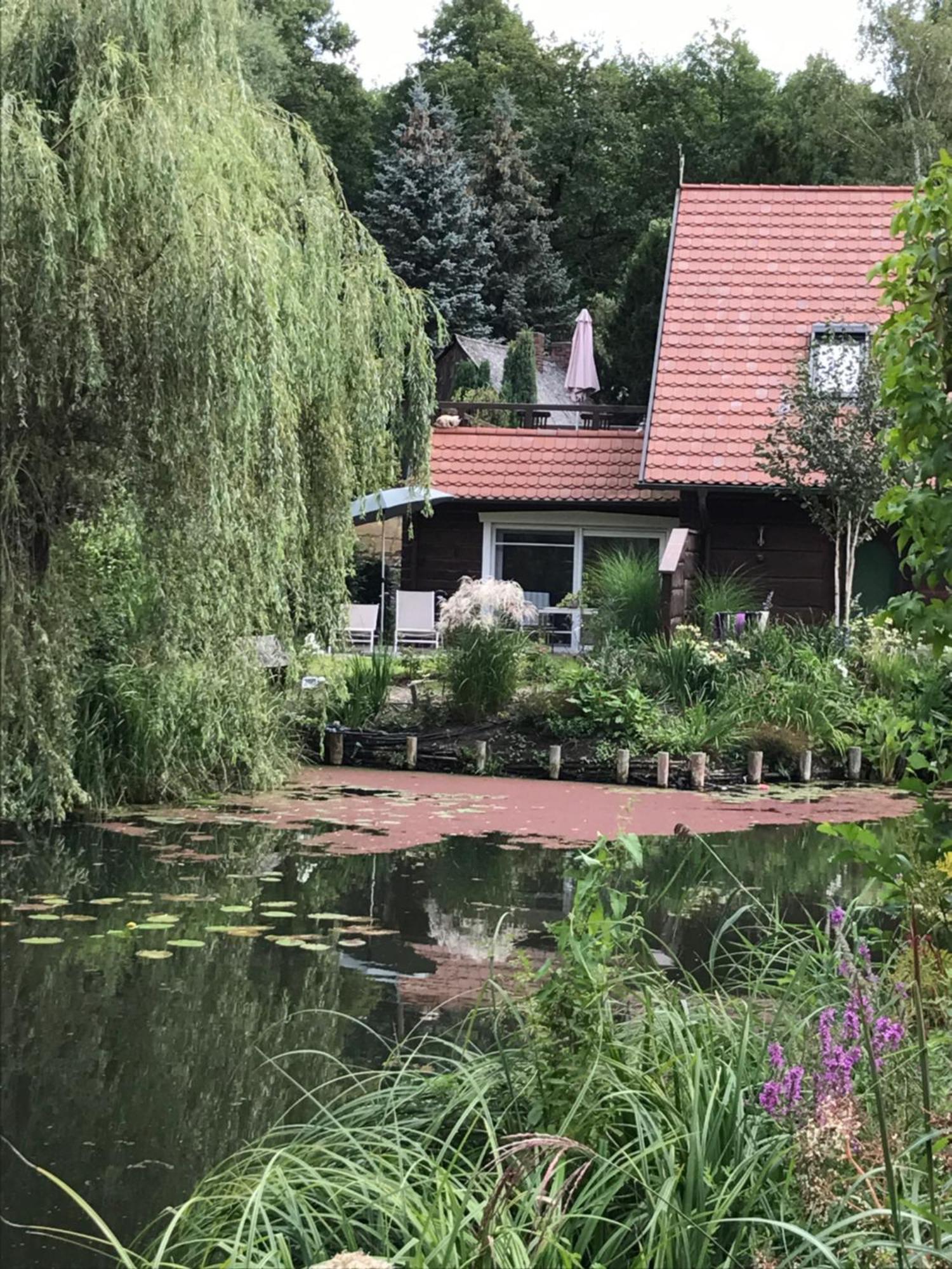 Ferienwohnungen Direkt Am Wasser 布尔格 外观 照片
