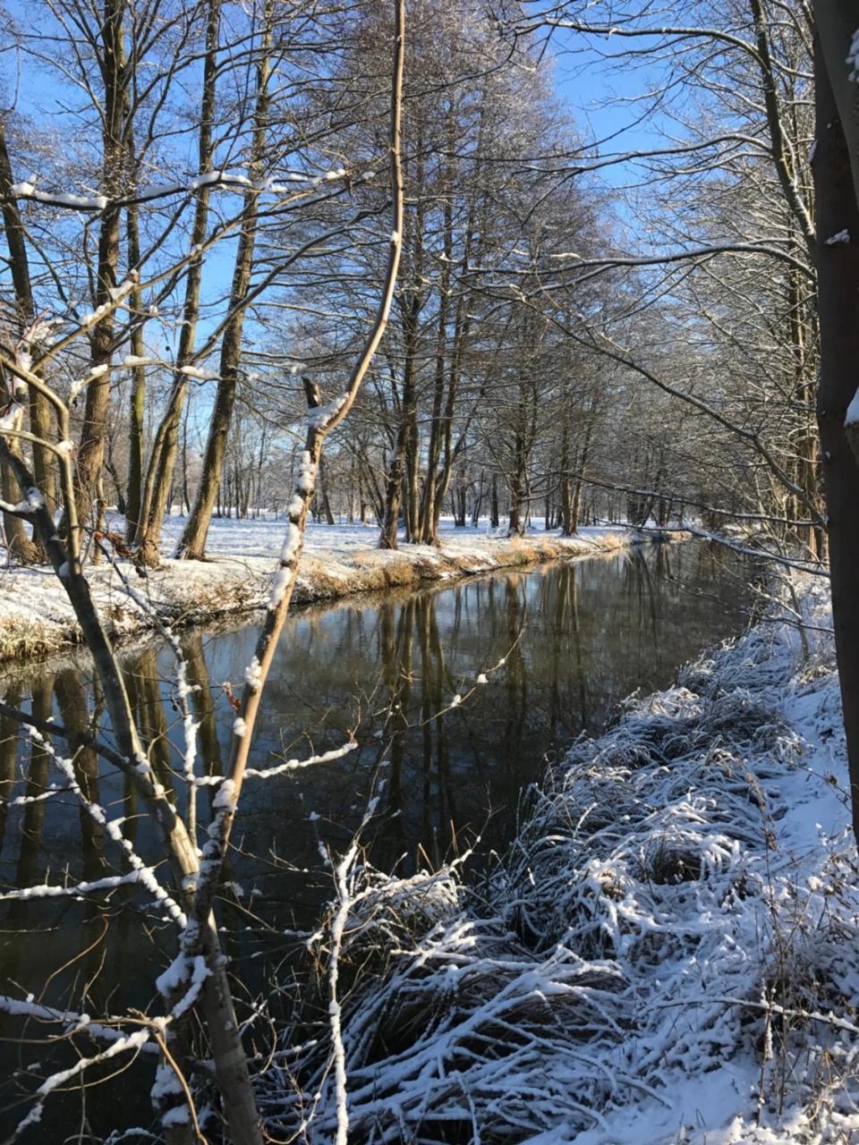 Ferienwohnungen Direkt Am Wasser 布尔格 外观 照片