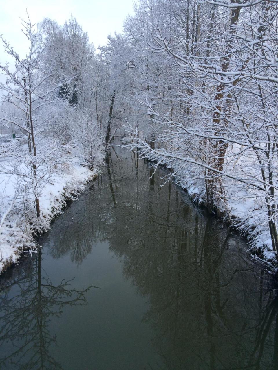 Ferienwohnungen Direkt Am Wasser 布尔格 外观 照片